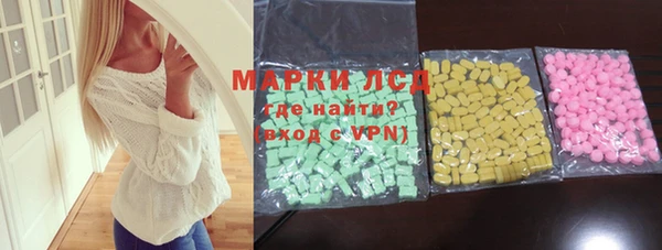 гашик Алексин