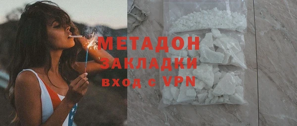 гашик Алексин