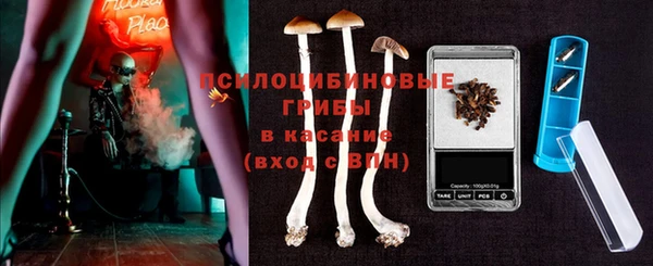 гашик Алексин